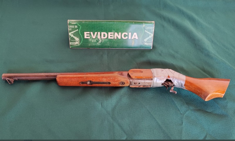 La escopeta tenía encargo vigente por robo en la ciudad de Linares.